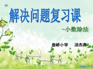 解决问题复习课