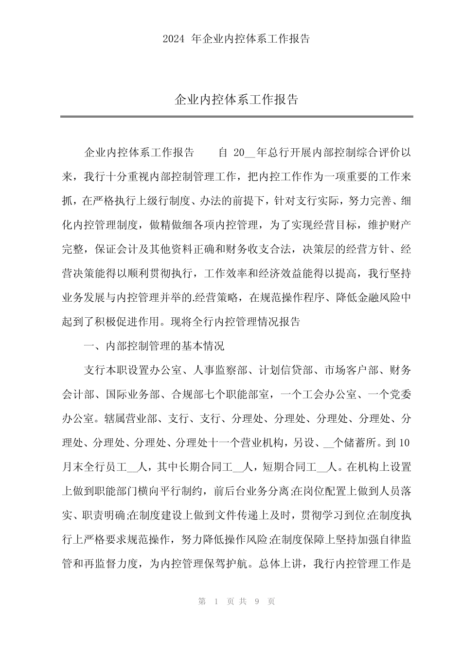 2024年企业内控体系工作报告 _第1页