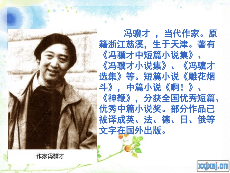 《珍珠鸟》课件_第2页