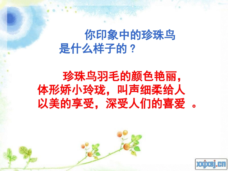 《珍珠鸟》课件_第3页
