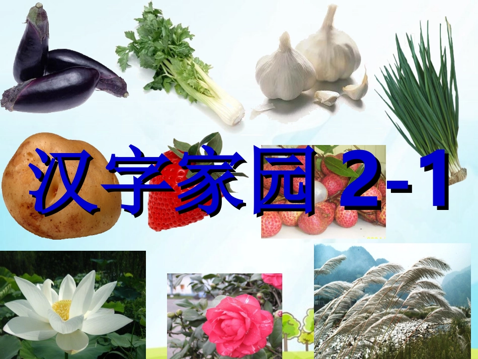 ２１汉字家园１_第1页