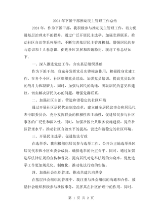 2024年下派干部推动民主管理工作总结