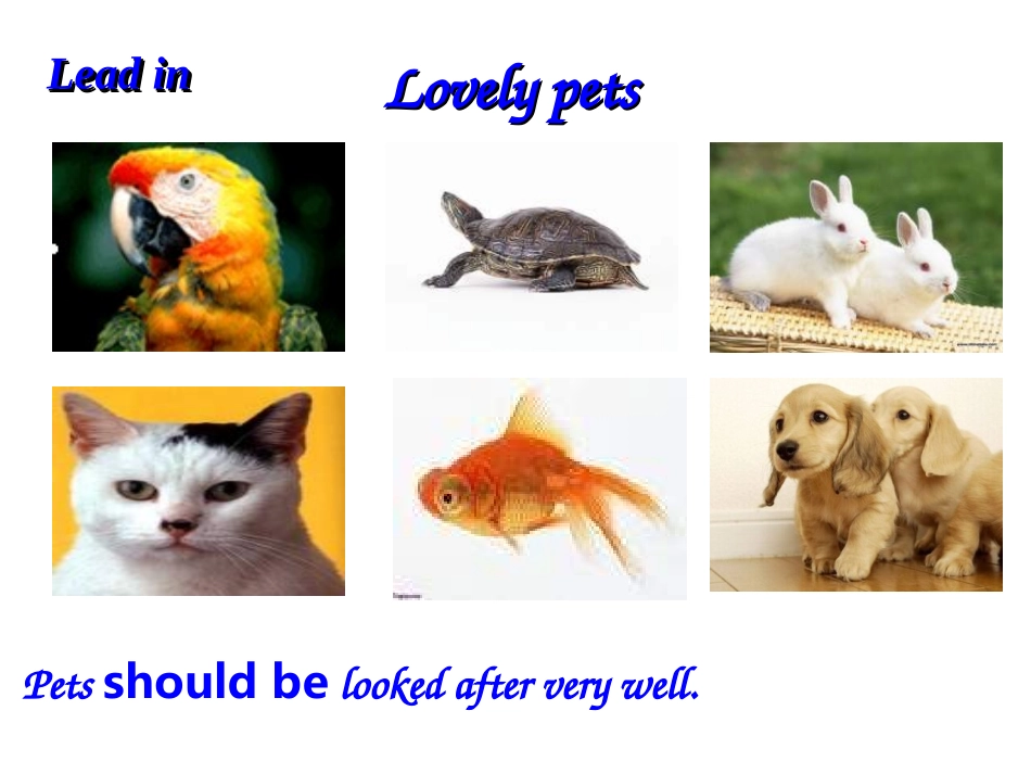 8AU5Welcometotheunit课件_第2页