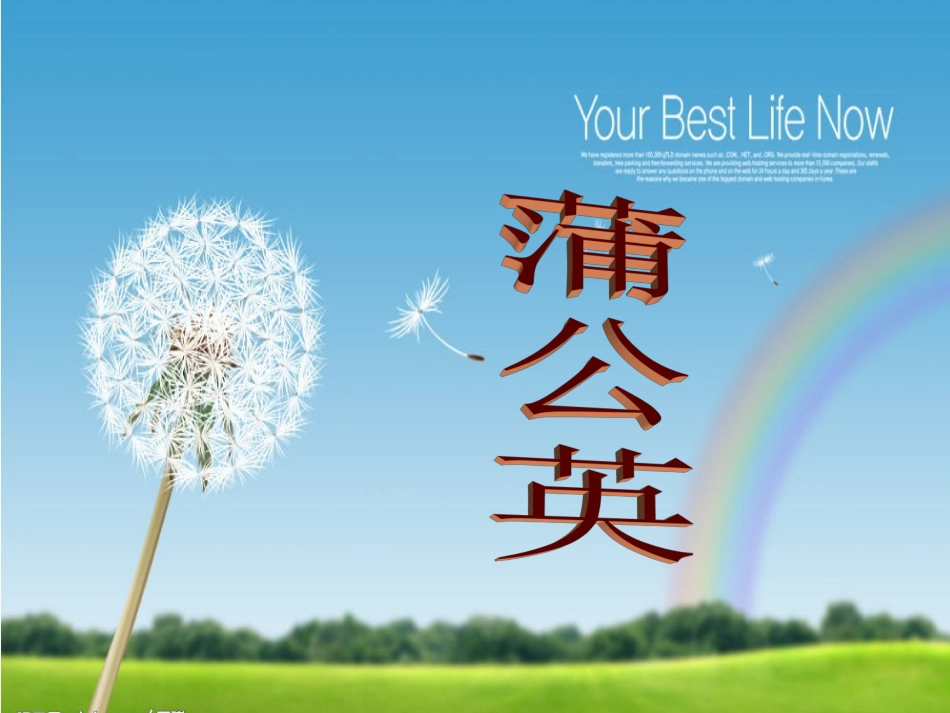 8蒲公英(第二课时)_第1页