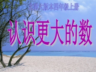 认识更大的数 (2)