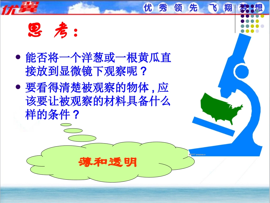 2第二节++植物细胞_第2页