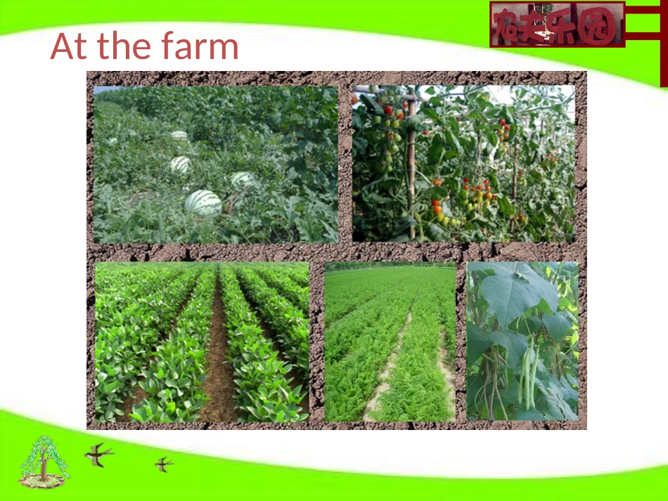 Unit-4-At-the-farm-第一课时_第3页
