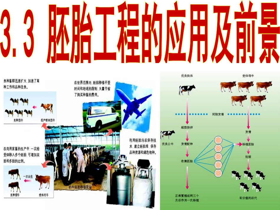 胚胎工程及应用前景_第1页