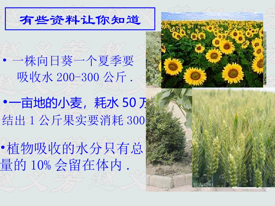 第17章第一节_第2页