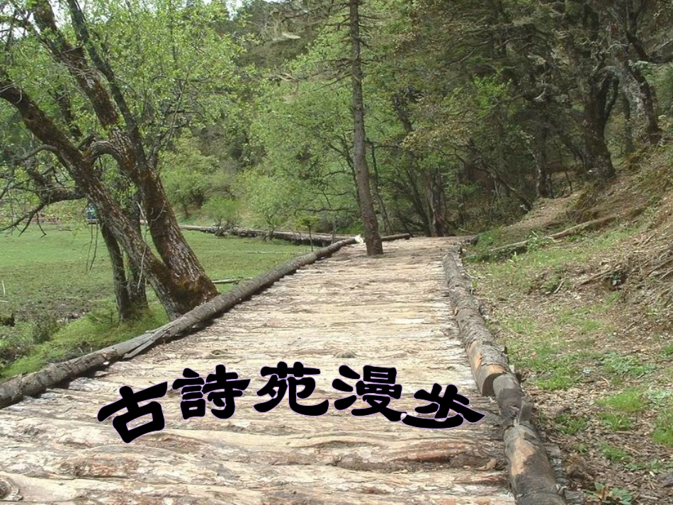 第五单元：古诗苑漫步知识竞赛_第1页