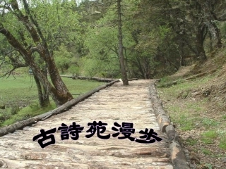 第五单元：古诗苑漫步知识竞赛
