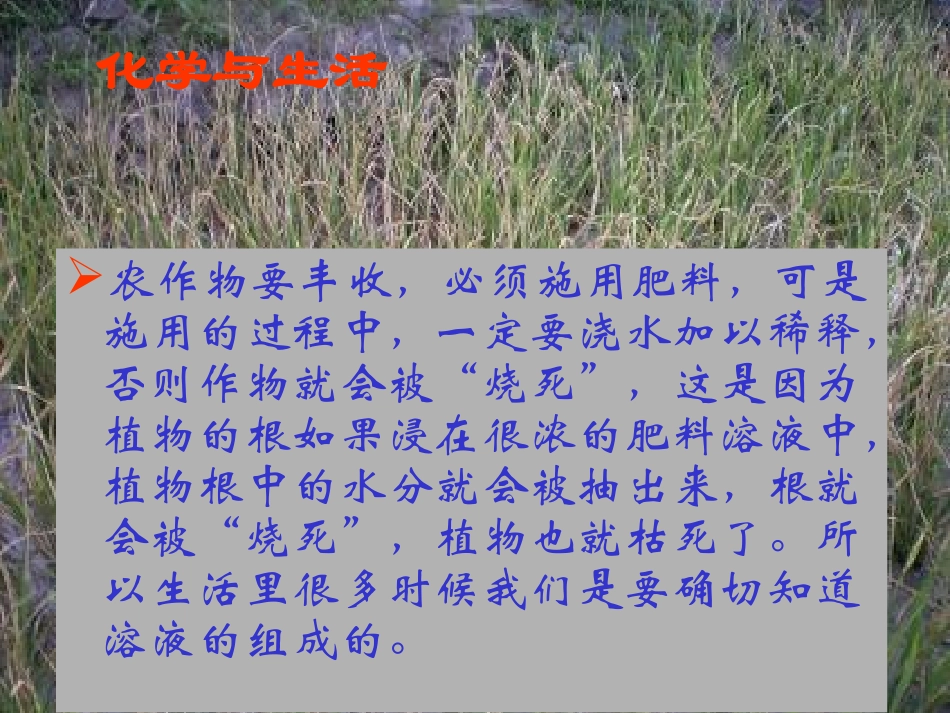 第六章+第二节+溶液组成的表示_第2页