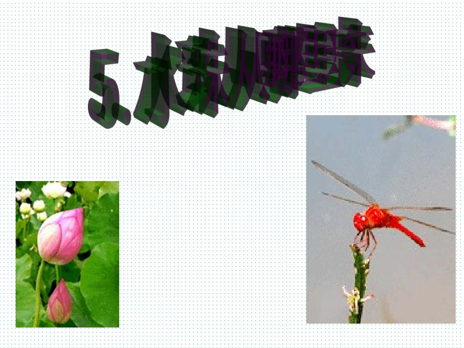 第三单元5《水珠从哪里来》_第1页
