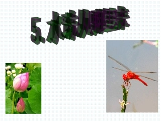 第三单元5《水珠从哪里来》