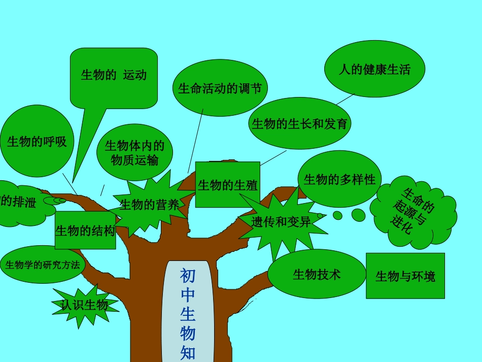 生物知识结构图_第1页
