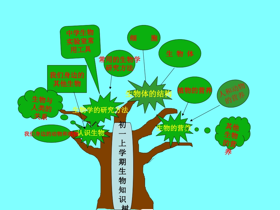 生物知识结构图_第2页