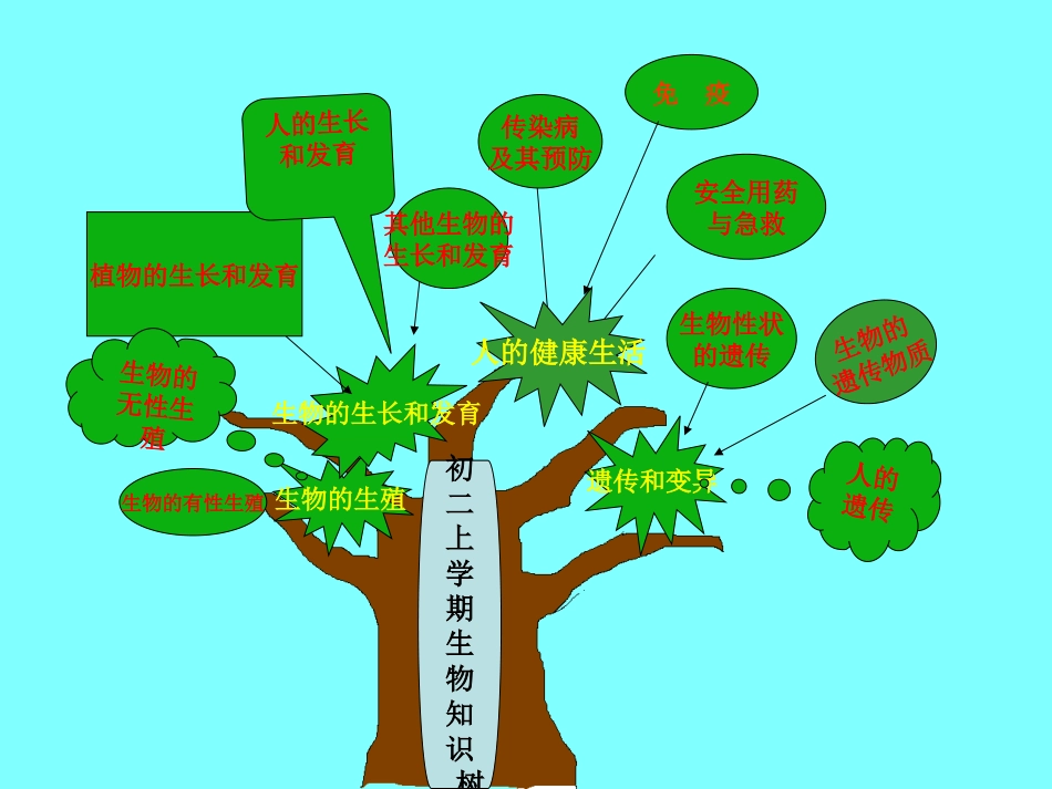 生物知识结构图_第3页