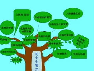 生物知识结构图