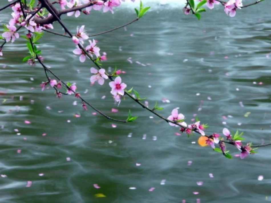 23[1]难忘的一课_第1页