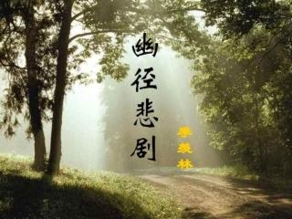 幽径悲剧课件