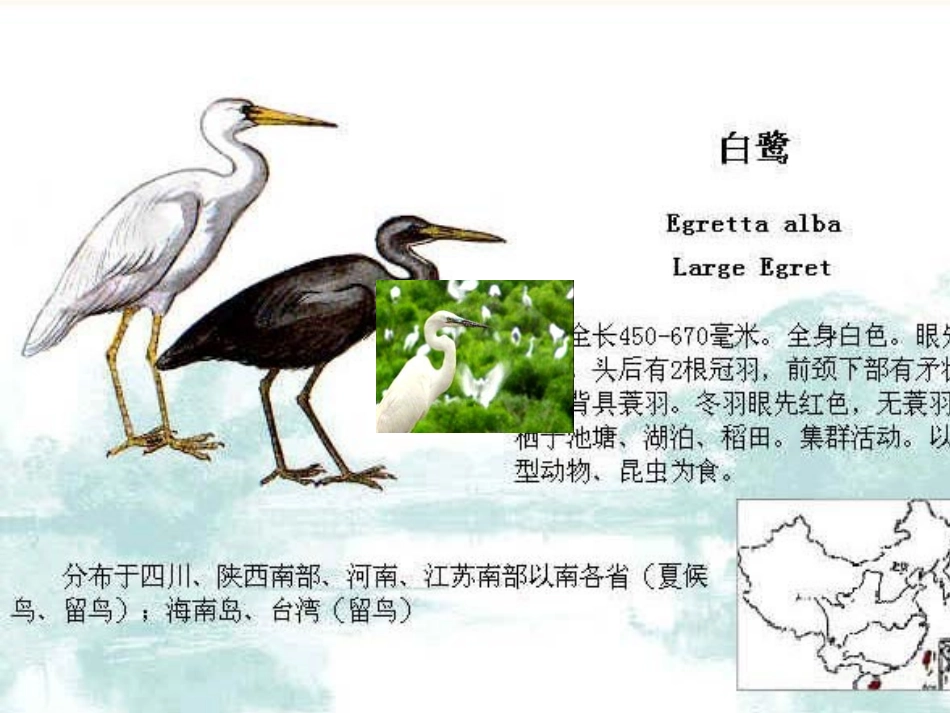 散文家谈散文1_第3页