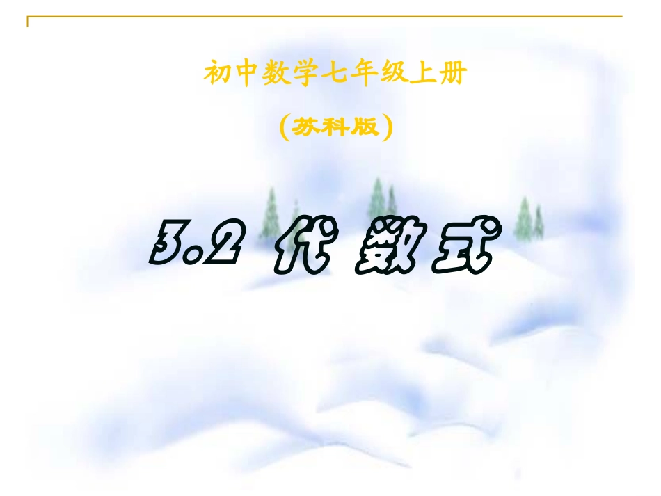 32代数式(新)_第1页