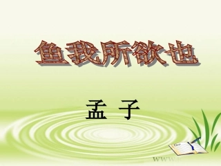 19鱼我所欲也