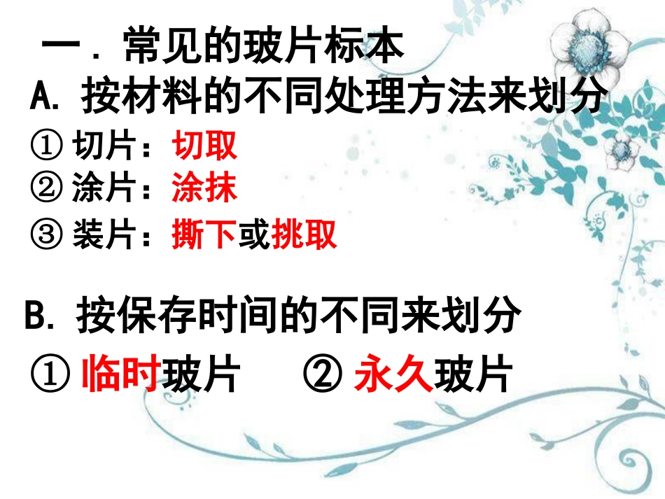 2、1、2植物细胞(人教版)_第2页