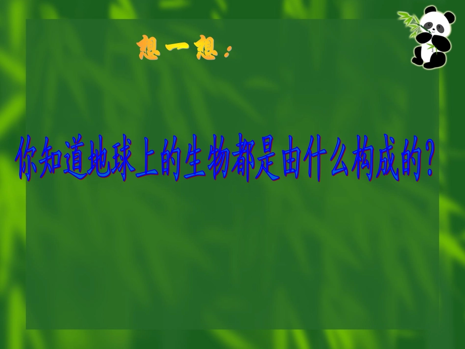 3、8、1植物体的组成_第2页