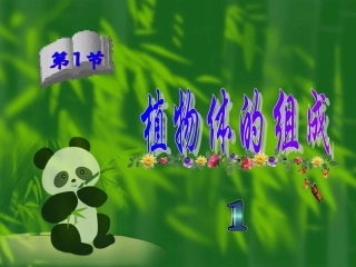 3、8、1植物体的组成