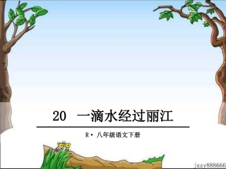 20一滴水经过丽江