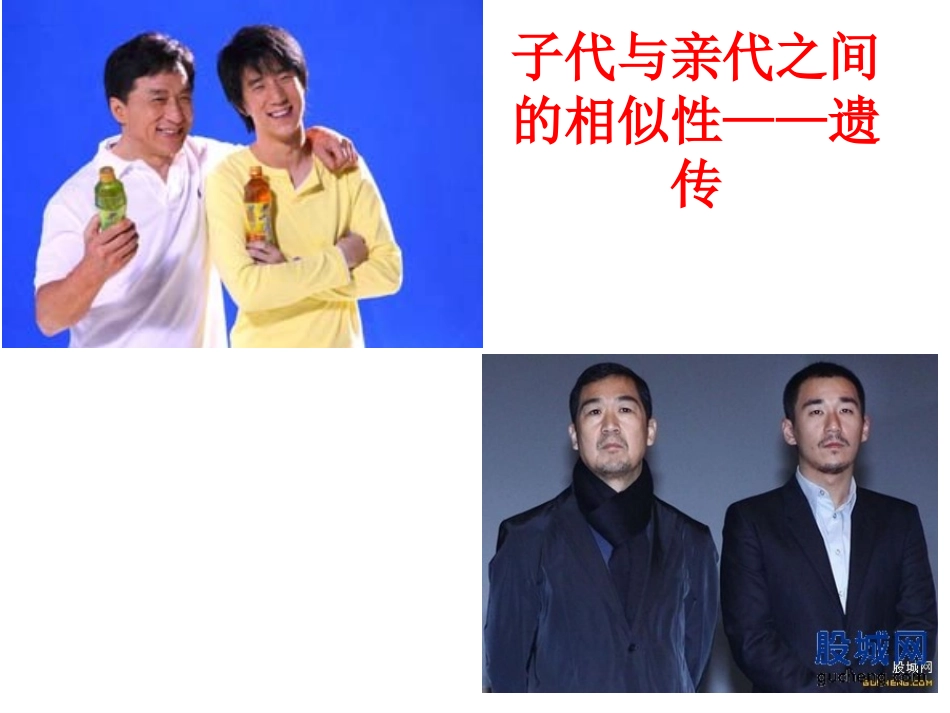 第一章_第1节_孟德尔的豌豆杂交实验(一)[1]_第1页