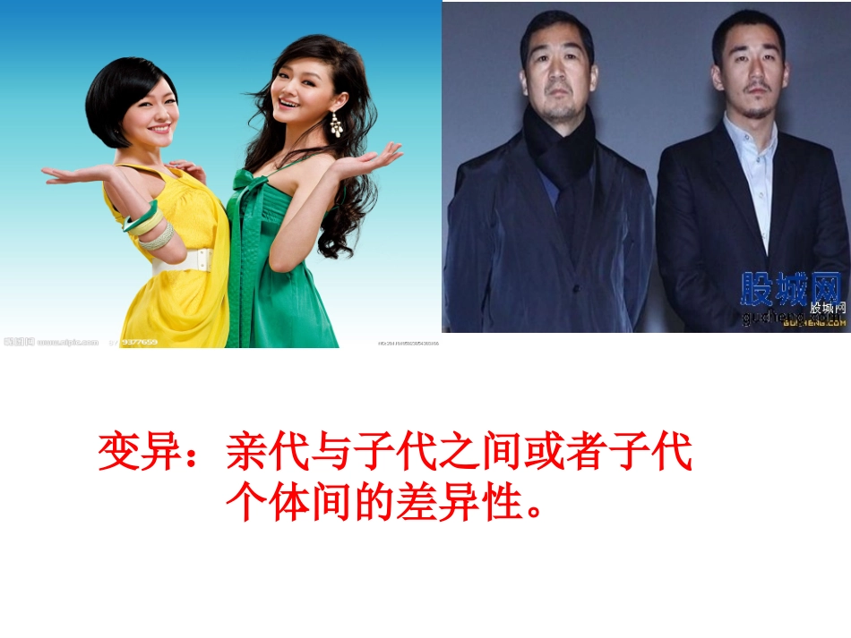 第一章_第1节_孟德尔的豌豆杂交实验(一)[1]_第2页