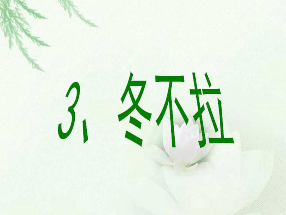 3《冬不拉》课件_第1页