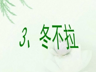 3《冬不拉》课件
