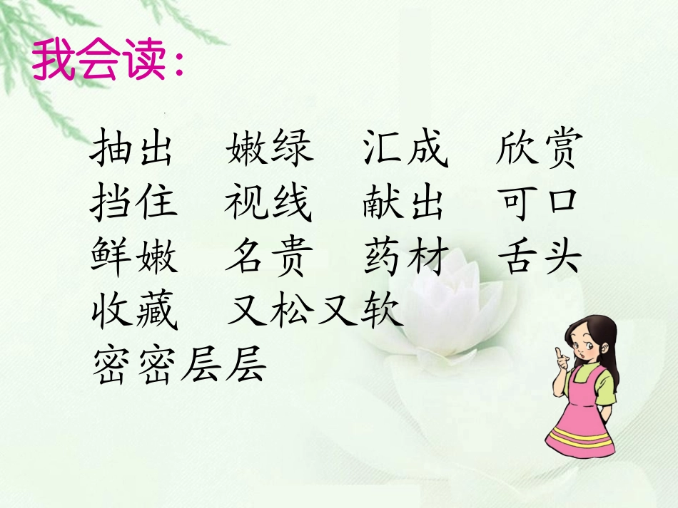 课件小兴安岭_第2页