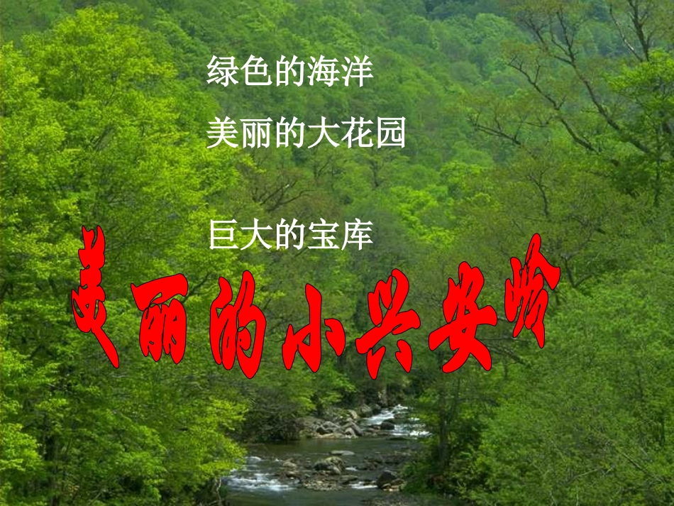 美丽的小兴安岭用_第1页