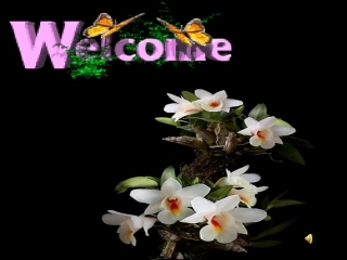 复件失根的兰花