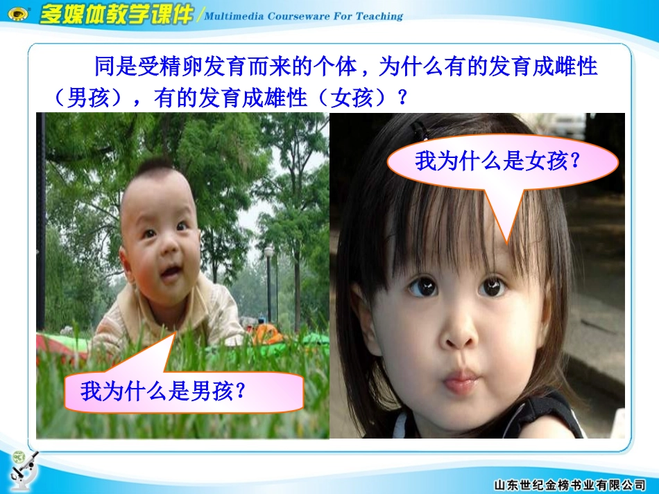 第3节伴性遗传_第2页