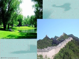 音乐的美张琳