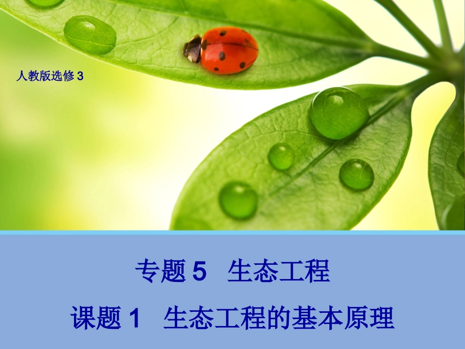 余琼制作的课件_第1页