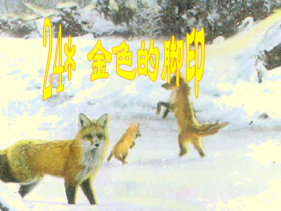 24金色的脚印 (3)_第2页
