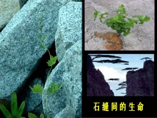 地下森林断想