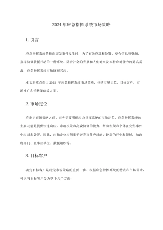 2024年应急指挥系统市场策略 