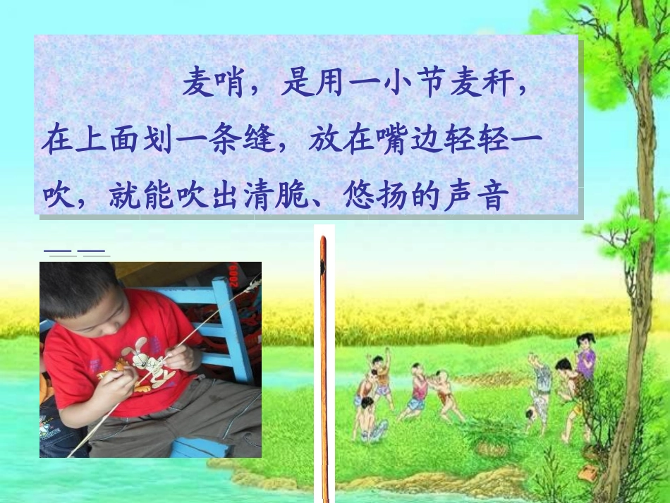 《麦哨》课件_第2页