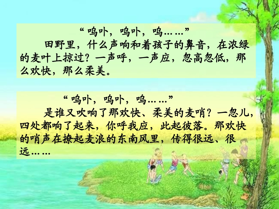 《麦哨》课件_第3页