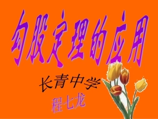 勾股定理的应用