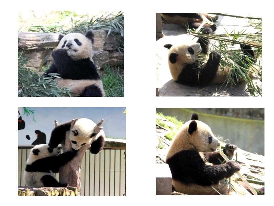 第四课_人类的朋友_第2页