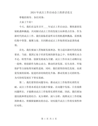 2024年试点工作启动会上的讲话范文 