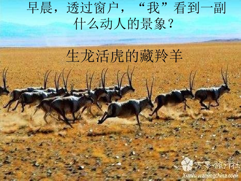 5小木屋_课文_第3页